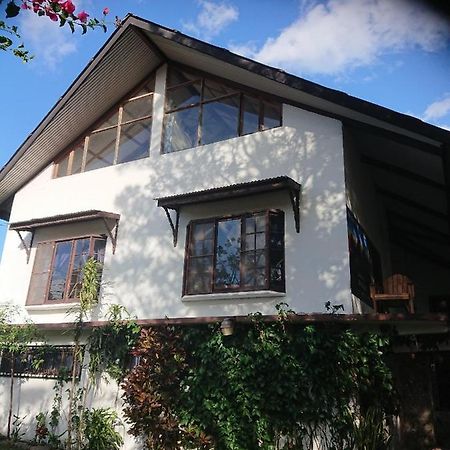 La Jungla Experience Lodgings - Vacation Home And Apartment Boquete Ngoại thất bức ảnh