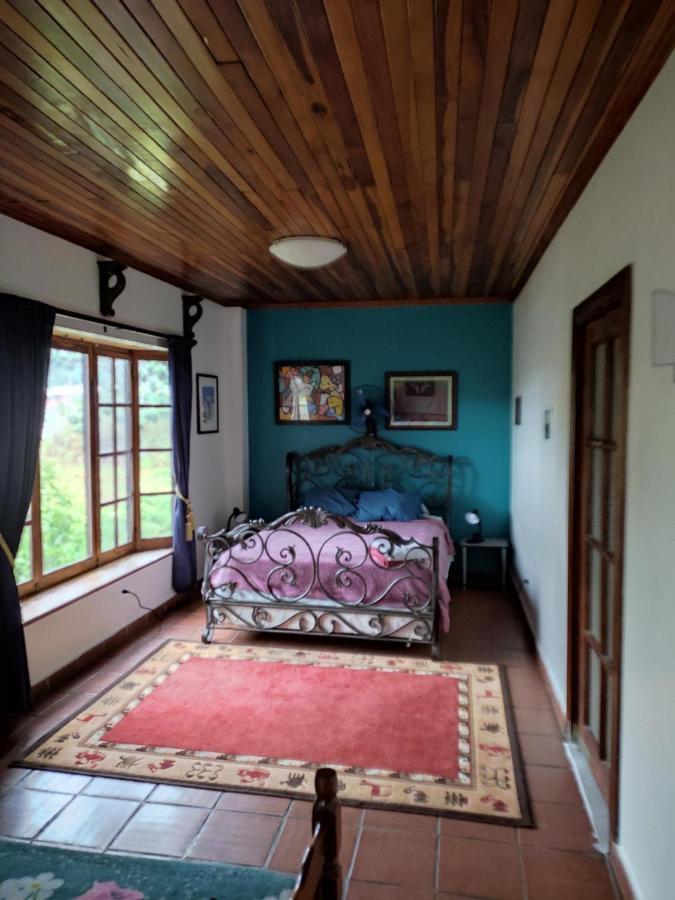 La Jungla Experience Lodgings - Vacation Home And Apartment Boquete Ngoại thất bức ảnh