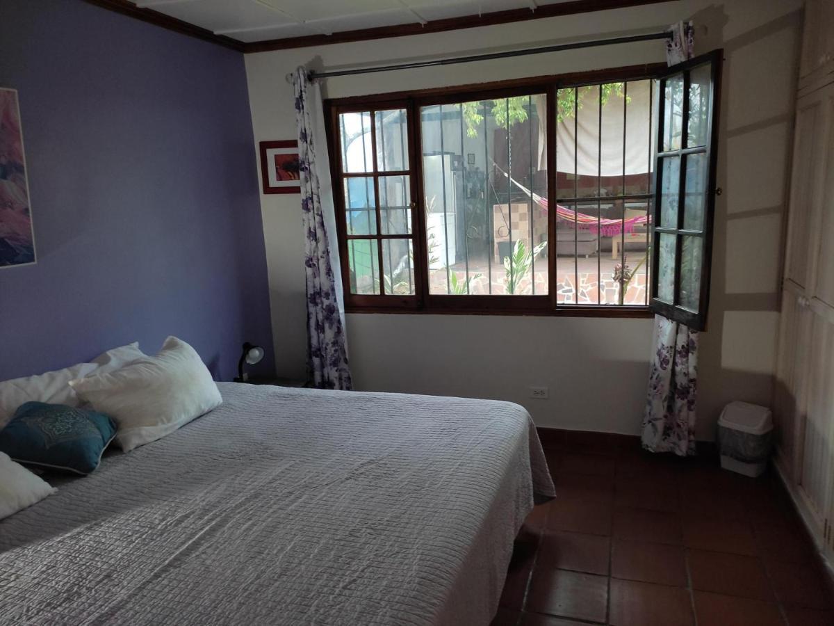 La Jungla Experience Lodgings - Vacation Home And Apartment Boquete Ngoại thất bức ảnh