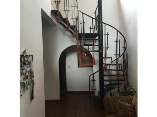 La Jungla Experience Lodgings - Vacation Home And Apartment Boquete Ngoại thất bức ảnh