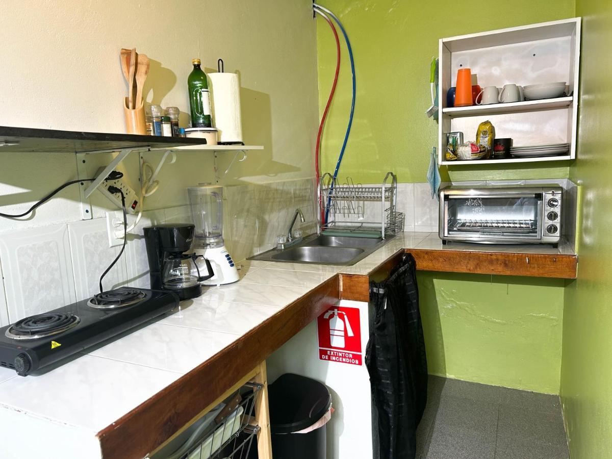 La Jungla Experience Lodgings - Vacation Home And Apartment Boquete Ngoại thất bức ảnh