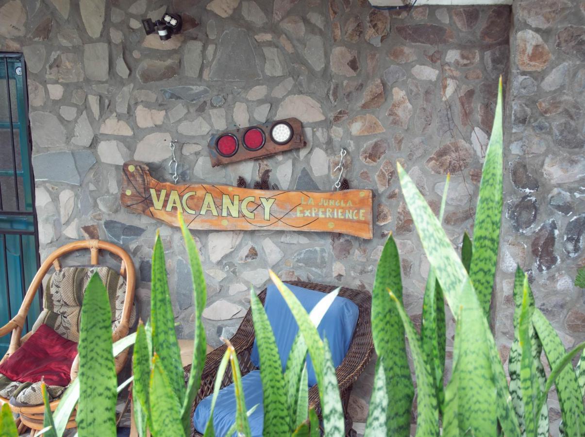 La Jungla Experience Lodgings - Vacation Home And Apartment Boquete Ngoại thất bức ảnh